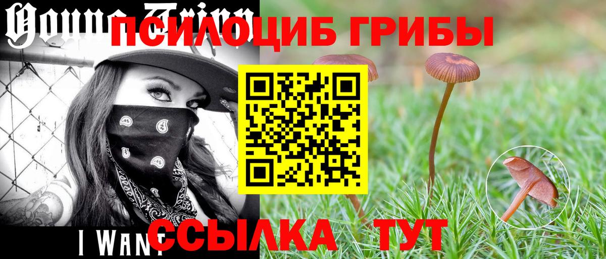 Чапаевск  Галлюциногенные грибы Magic Shrooms  Вход с VPN  Галлюциногенные грибы Cubensis 